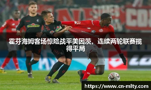 霍芬海姆客场惊险战平美因茨，连续两轮联赛揽得平局